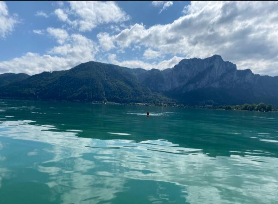 Die Feelgood-Wohnung Am Mondsee Buitenkant foto